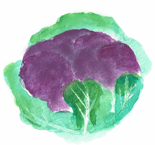 カリフラワー Ja愛知みなみ田原洋菜部会